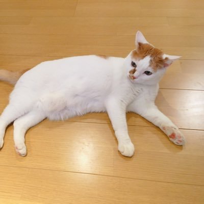 saoriさんのプロフィール画像