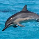 Michal_T9's profile picture. AntyPiS, antysocjalizm. Lubię wyśmiewać głupotę wyznawców PiS. Szczególnie tych,którzy próbują szpanować swą miałką wiedzą

#SnaW #SiecNaWybory