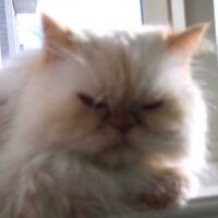 Keyda (@sagehill) 's Twitter Profile