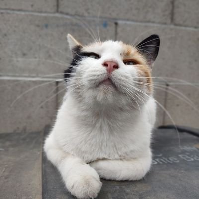 TinaZ09577106's profile picture. 
