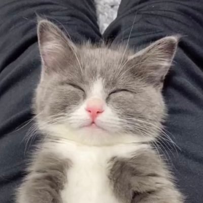 Prettykhwan's profile picture. 🏀 #บาสเด็กอ้วนที่แท้จริง 💕 #ดุลบาส 🦁🦁#ป๋อจ้าน 🐰🐰 #Butterbear 🧸🧸