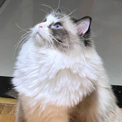 FahSal85's profile picture. 