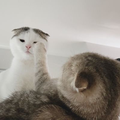 Aumm_2547's profile picture. hiii