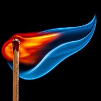 Crypto Obviously (@obviouslycrypto) 's Twitter Profile