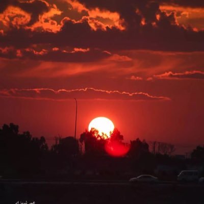 khanafia00's profile picture. биофизист