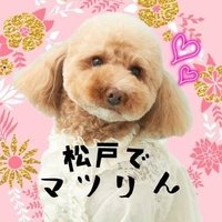 マツリん♪♪自称松戸のアイドルりん☆ (@kawaiimatsurin) 's Twitter Profile Photo マツリん♪♪自称松戸のアイドルりん☆ (@kawaiimatsurin) 's Twitter Profile Photo