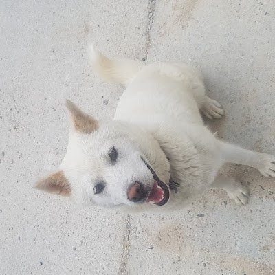 2seongj's profile picture. 