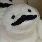 Sulphar (@sulphar0314) 's Twitter Profile