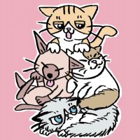 ノアとあんみつ🐾非再生性免疫介在性貧血(NRIMA)闘病中 (@nicchimo2021) 's Twitter Profile