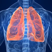 Respiratory and Inflammation Research (RAIR) Team (@respiratorypage) 's Twitter Profile