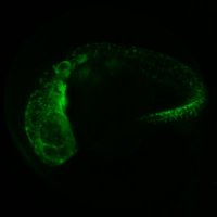 AblainLab (@ablainlab) 's Twitter Profile