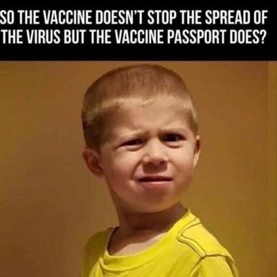 VolsProud's profile picture. a cynic who has little faith in humanity & even less in Government