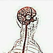 nerfdacier's profile picture. wsh