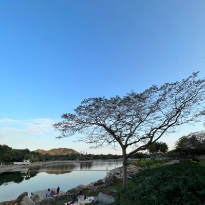 el_tonw's profile picture. 