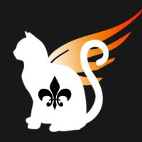 鳳凰猫 【台湾カードゲーマー】 (@ho_o_neko) 's Twitter Profile