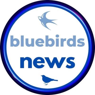 Cardiff City fan page providing you with the latest, news, statistics and Updates. https://t.co/yu3R7hCo8D