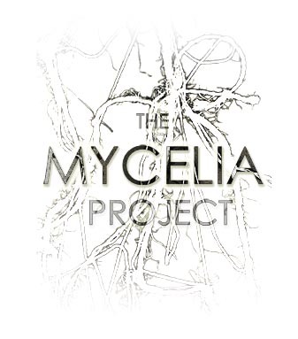 themyceliaprjct's profile picture. THE MYCELIA PROJECT is an innovative and educational collaboration that seeks to unite various communities through hands-on, experiential projects.