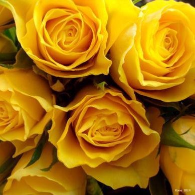 a_skenderska's profile picture. 