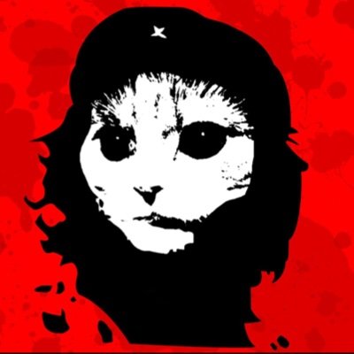 Catman Wilde the Commie Cat Profile