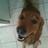 cb42thsouth's profile image