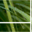 AcheevaDomains_'s profile image