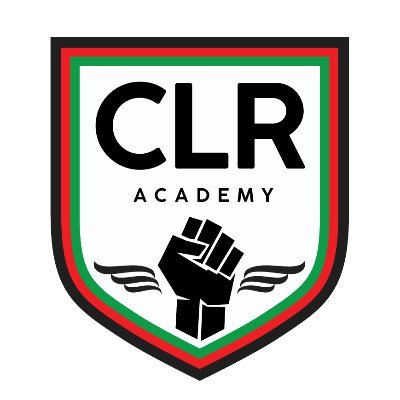 CLR Academy is a free youth sports sampling academy directly serving Black and Brown youth in the most underserved neighborhoods in Michigan. #CLRAcademy