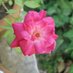 Sankar Kumar (@sankark18683686) Twitter profile photo Sankar Kumar (@sankark18683686) Twitter profile photo