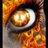 stevenferrell59's profile image