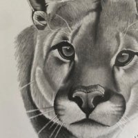 John M (@blessdjohn1) 's Twitter Profile