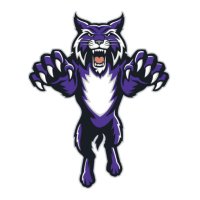 Hallsville Athletics(@hvillebobcat) 's Twitter Profile Photo