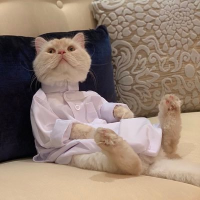 supernomars's profile picture. space and photography 📸  • née en mars et va mourir sur mars 👩🏼‍🚀