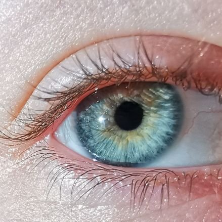 I love drawing, puzzling, singing, going for walks, my cat, dogs, the sun, and hyperfocussing on a certain Hobby for 1 week and then never doing that again :)