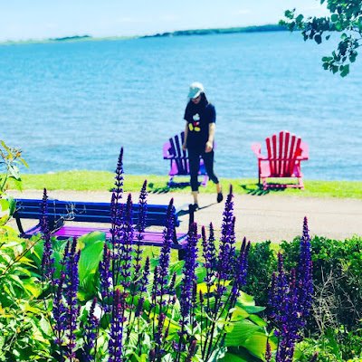 junliu65008405's profile picture. 