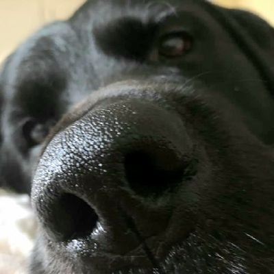 Georgel22303698's profile picture. patience is a virtue only achieved by those who truly desire it 🙏