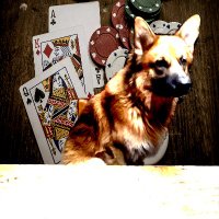 nestor (@nestorjv2) 's Twitter Profile