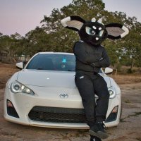 Velocity Vic 🚀 (@victhepanda1) 's Twitter Profile