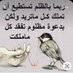 may may (@mariam_alsalam) Twitter profile photo may may (@mariam_alsalam) Twitter profile photo