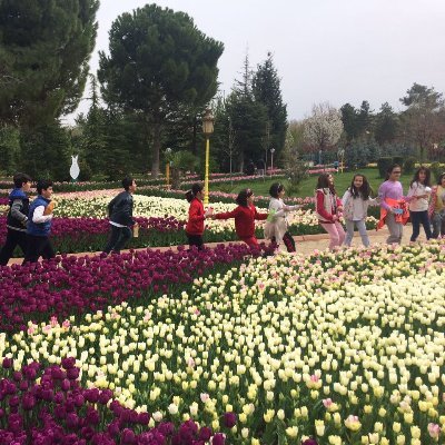 bunaaldi's profile picture. 