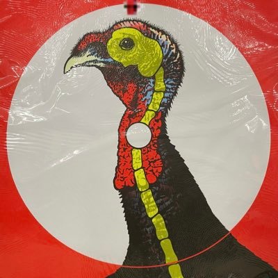 VNRBL's profile picture. got a bug? post a bug.