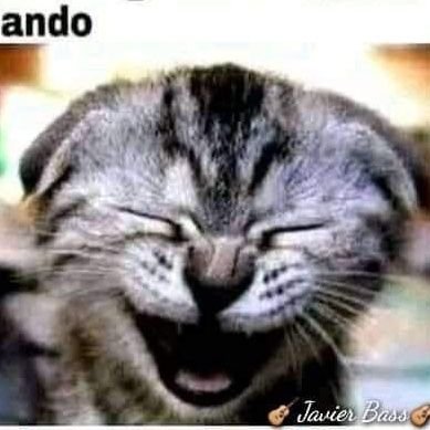 elsolitario8667's profile picture. siempre firme