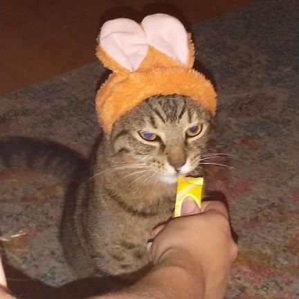 thisisdumbafppl's profile picture. God Fearing. Proud Mother, Kick Ass Wife, Native American, Freedom Loving, Gun Toting, Florida Living, Vaccine-Free RN