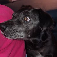 lily konjo (@lilykonjo24) 's Twitter Profile