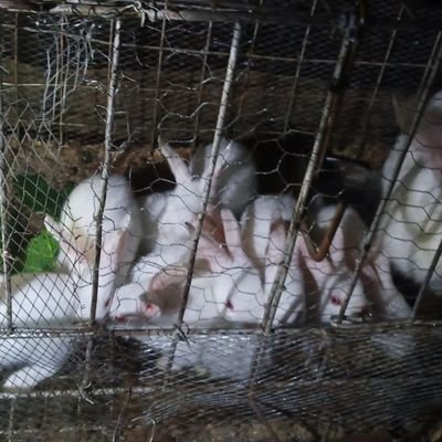 Etunde2's profile picture. Humble and peace loving person