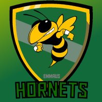 Emmaus_eSports (@emmaus_esports) 's Twitter Profile