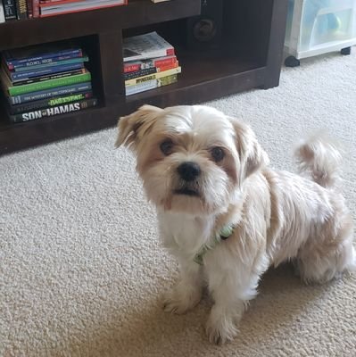 GhostedChile's profile picture. Animal Advocate, 
Soup King, 
Spice Lord