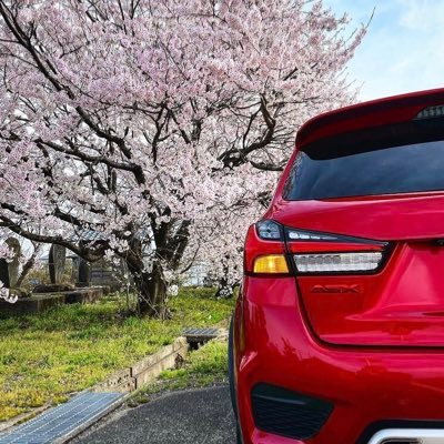 q7lVGitNpmcLpzU's profile picture. 