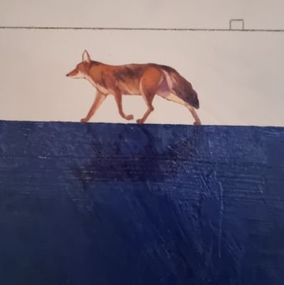 vito_alania's profile picture. TI