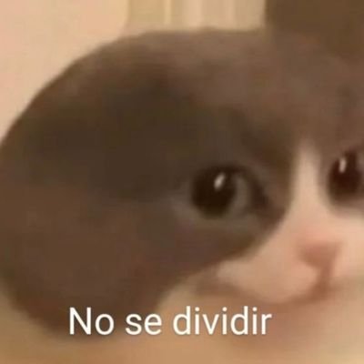 Las cosas que más me gustan son los autos y las motos (El sonido más que nada); las chocobananas, desarmar cosas para ver como funcionan, las mates y el licuado