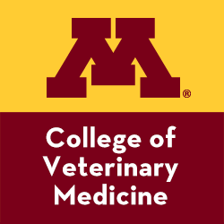 News and updates from the University of Minnesota's College of Veterinary Medicine.