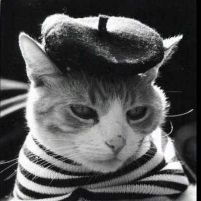 CleverBastet's profile picture. Nazi Punks Fuck off!
